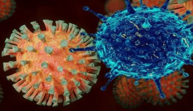 Low tax revenues and economic stimulus weigh on budget due to pandemic effect Low tax revenues and economic stimulus weigh on budget due to pandemic effect