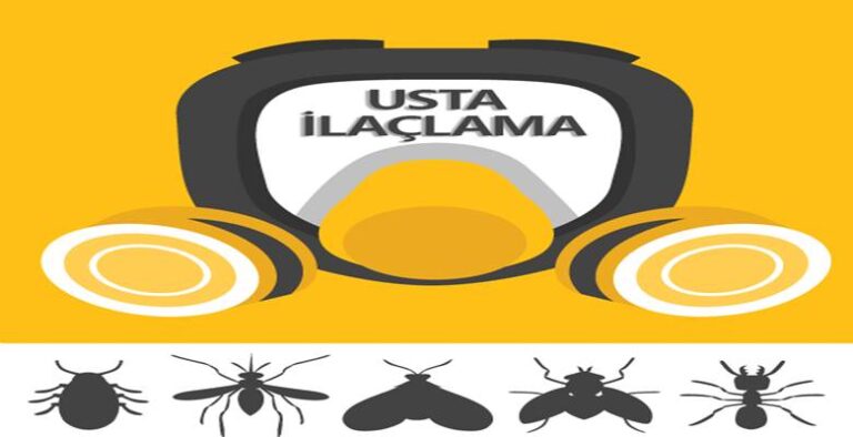 Kadıköy İlaçlama Kadıköy İlaçlama