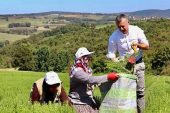 Başkan Büyükakın önce biberiye hasadı yaptı, sonra distilasyon tesisinin tanıtımına katıldı