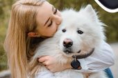 Can Dostlarımızı güvenle takip etmeyi sağlayan Galaxy SmartTag şimdi petshop ve veteriner kliniklerde