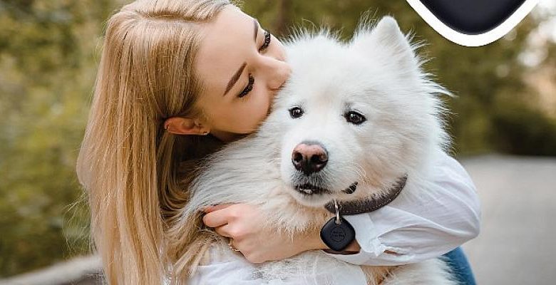 Can Dostlarımızı güvenle takip etmeyi sağlayan Galaxy SmartTag şimdi petshop ve veteriner kliniklerde