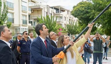 Didim’de Ata ağaçlarında zeytin hasadı gerçekleştirildi