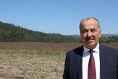 Mudanya Belediyesi’nden Topraktan Halka Ayçiçek Yağı