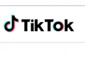 TikTok şiddet içeren aşırıcılığa karşı yeni iş birliğini duyurdu