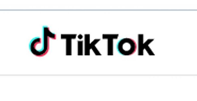 TikTok şiddet içeren aşırıcılığa karşı yeni iş birliğini duyurdu