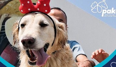 4 Ekim Dünya Hayvanları Koruma Günü Pako’da kutlanacak