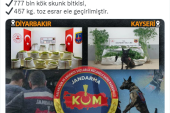 4 ilde uyuşturucu operasyonu
