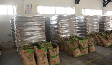 Dinar’da çiftçilere 78 ton buğday tohumu dağıtıldı
