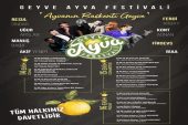 Geyve Ayva Festivali’ndeki konserler iptal edildi