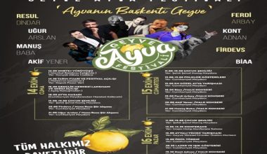 Geyve Ayva Festivali’ndeki konserler iptal edildi