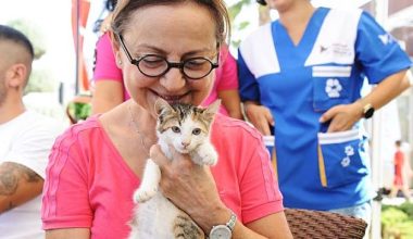 Karşıyaka’da can dostlara sıcak yuva aranıyor