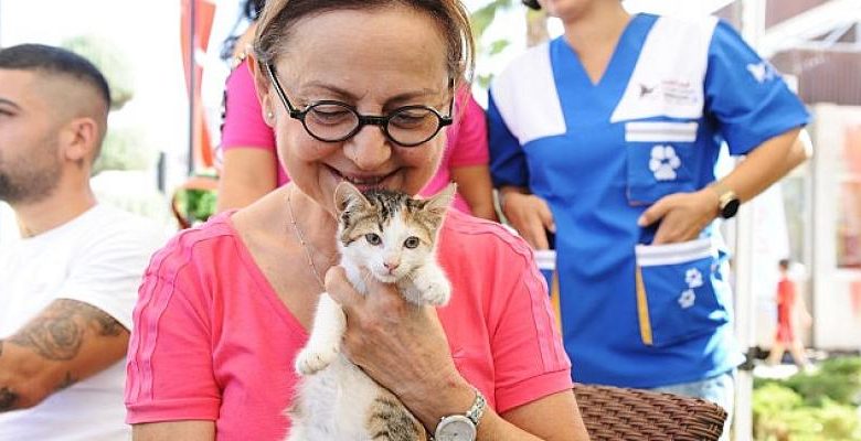 Karşıyaka’da can dostlara sıcak yuva aranıyor