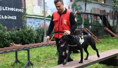 Lena, BAK Kadıköy ekibiyle arama çalışmalarına hazır