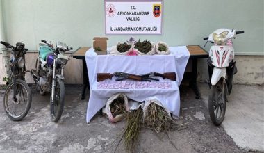 Ormanlık alanda uyuşturucu operasyonu