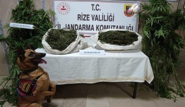 Rize’de uyuşturucu operasyonu 