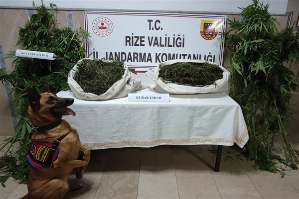 Rize’de uyuşturucu operasyonu 