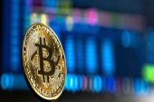 Altcoin sezonu mu başlıyor?