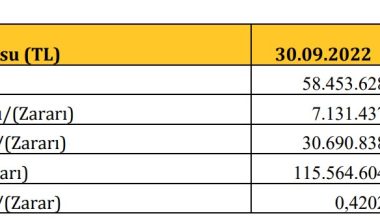 Altınyağ Madencilik’in 9 aylık faaliyet raporu