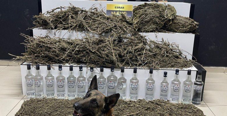 Balıkesir’de uyuşturucu operasyonu