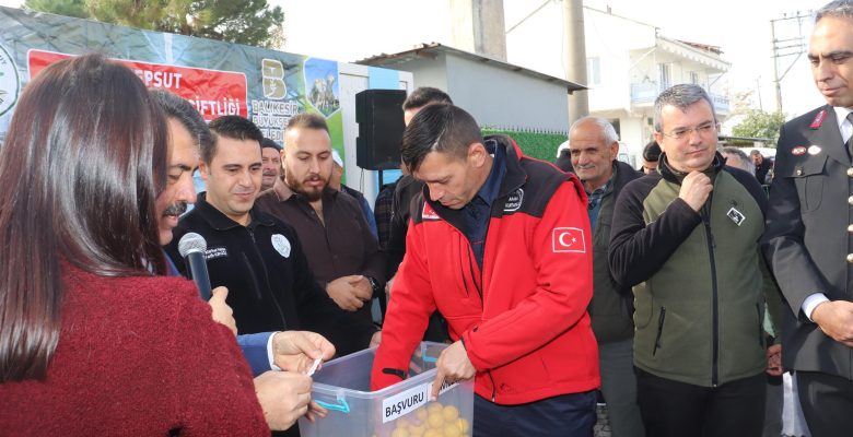 Balıkesir’den üreticiye damızlık koç desteği