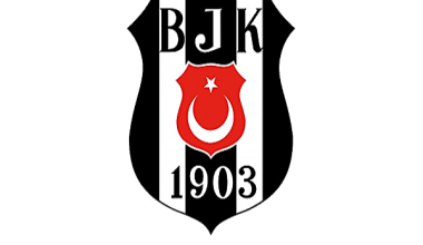 Beşiktaş Yurtbay Seramik, üçüncü tura yükseldi