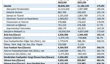 Doğan Şirketler Grubu’nun ara dönem rakamları