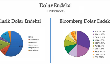 Dolar endeksi referans olmayı sürdürüyor