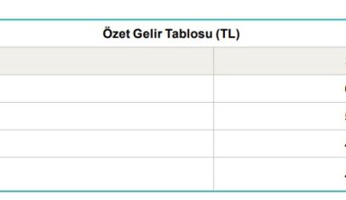 Esenboğa Elektrik’in 3. çeyrek faaliyet raporu