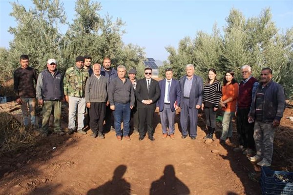 Hassa Kaymakamı Osman Acar, zeytin hasadına katıldı