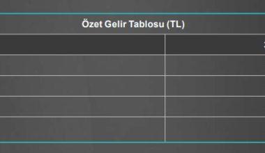 Margün Enerji’nin 3. çeyrek faaliyet raporu