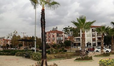Ödemiş’te Şehir Magandaları Eğitim Şehitleri Parkı’ndaki Palmiye Ağacını Yaktı