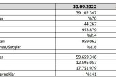 Vestel’in 9 aylık performansı