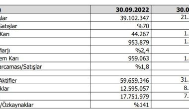 Vestel’in 9 aylık performansı