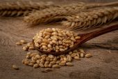 Xi’den Hibrit Pirinç Yardımı ve Küresel Gıda Güvenliği Forumu’na mesaj