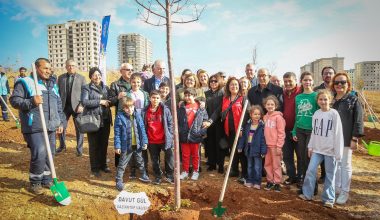 Gaziantep ve Odtü Mezunları Derneği iş birliğinde 5 bin metrekarelik alan ağaçlandırıldı