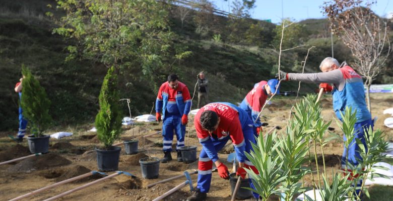 Kağıthane’de toprakla buluşan fidan sayısı 40 bine ulaştı