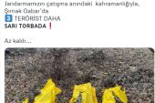 Şırnak’ta 3 terörist etkisiz hale getirildi