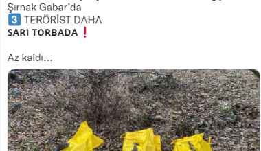 Şırnak’ta 3 terörist etkisiz hale getirildi