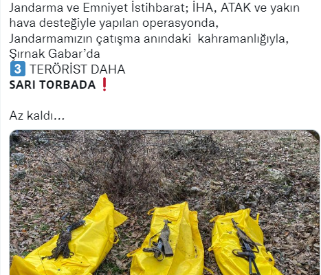 Şırnak’ta 3 terörist etkisiz hale getirildi