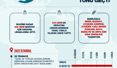 Tahıl koridorundan taşınan tahıl miktarı 13 milyon tonu geçti