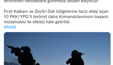 10 terörist etkisiz hale getirildi