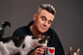Purina’nın Yeni Kampanyasında Başrol Felix ve Robbie Williams’ın