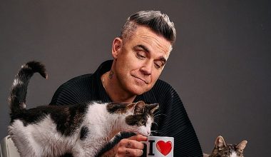 Purina’nın Yeni Kampanyasında Başrol Felix ve Robbie Williams’ın