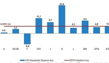 TÜİK: Gayrisafi Yurt İçi Hasıla (GSYH) 2022 yılında %5,6 arttı