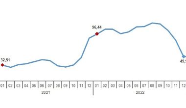 Yurt Dışı Üretici Fiyat Endeksi (YD-ÜFE) yıllık %50,98, aylık %4,00 arttı