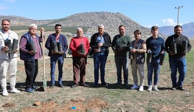Korkuteli'de antepfıstığı yetiştiriciliği yapılacak