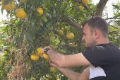 Küçükçekmece Belediyesi'nden Hatay'daki Üreticilere Destek!