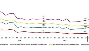 Mevsim etkisinden arındırılmış işsizlik oranı %9,7 seviyesinde gerçekleşti