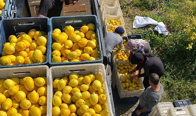 ŞOK Marketler deprem bölgesinde tarımı ve çiftçiyi destekliyor