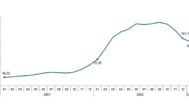 Tarımsal girdi fiyat endeksi (Tarım-GFE) yıllık %95,99, aylık %6,24 arttı